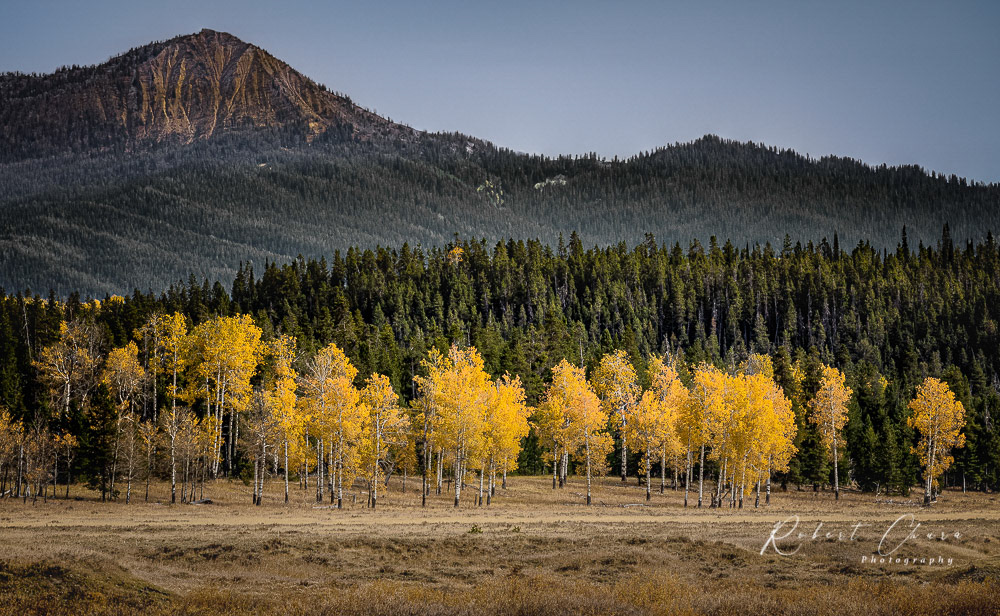 Oxbow Valley