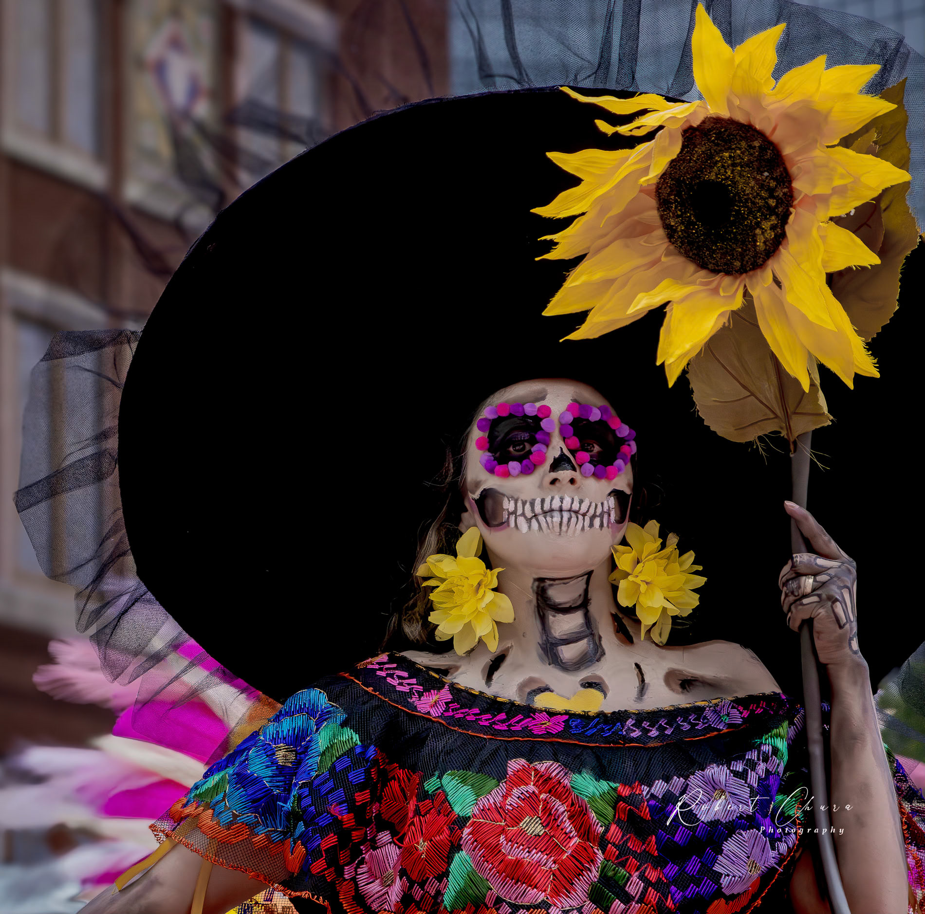 Sunflower