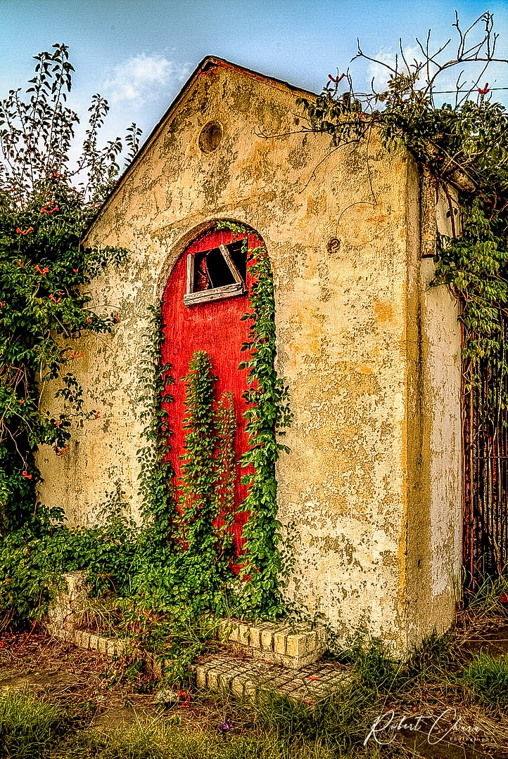 Red Door with Ivy