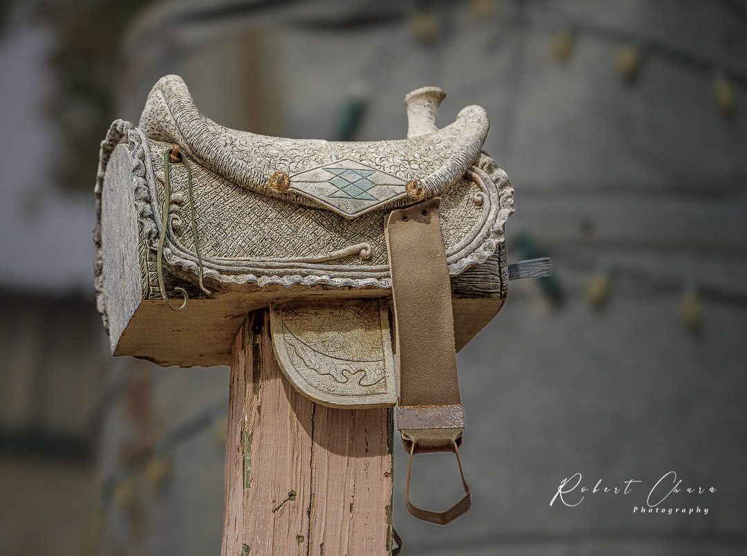 Back in the Saddle Again