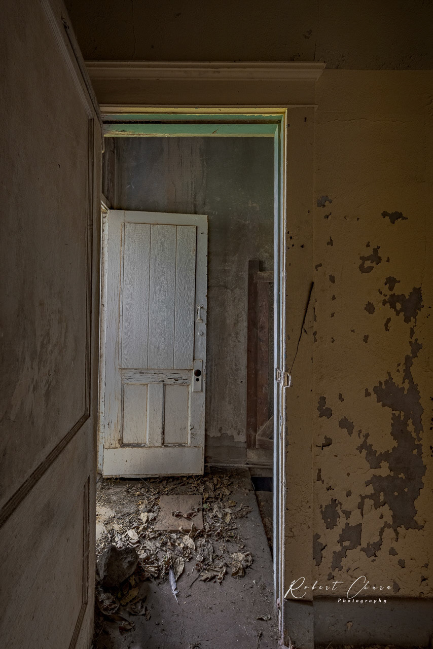 The Back Door