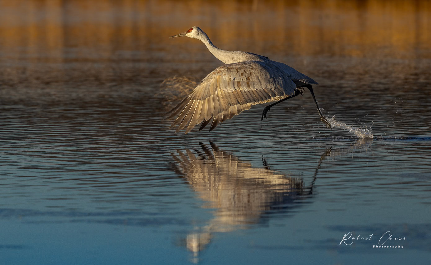 Morning Take Off