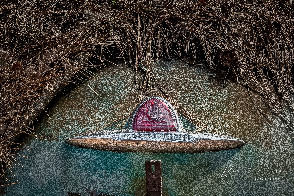 Plymouth Trunk