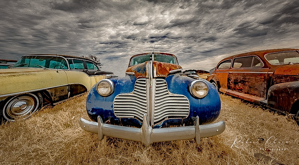 Buick Eight with Pals