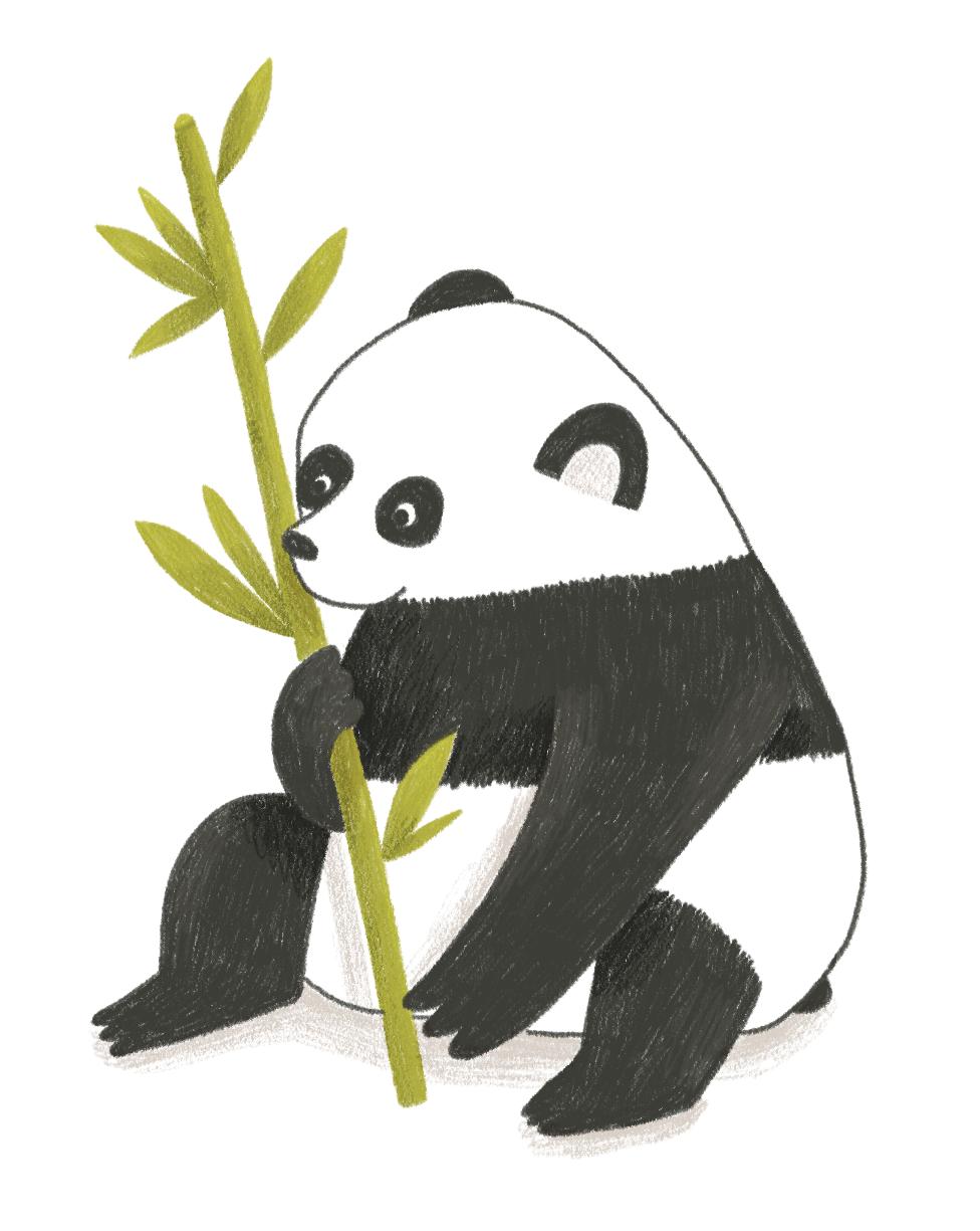 Die Welt schmecken und entdecken, Südpol Verlag