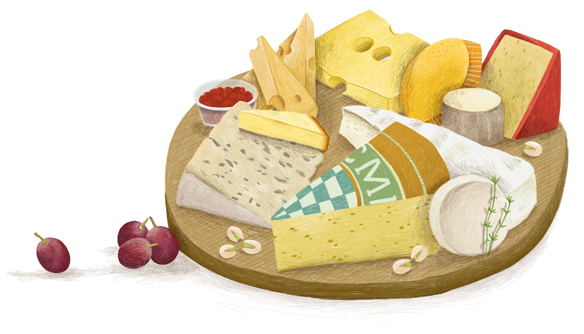 Die Welt schmecken und entdecken, Südpol Verlag