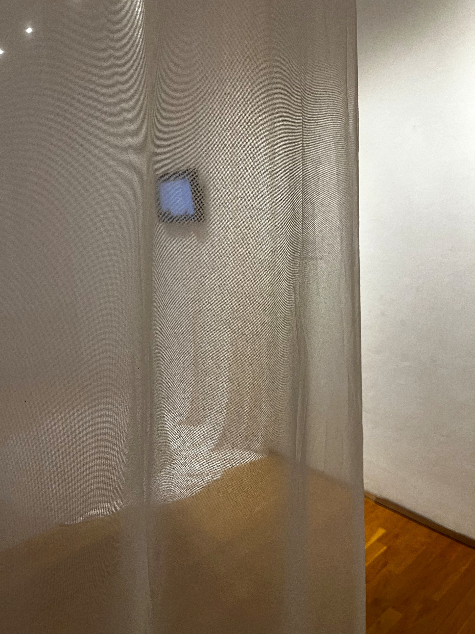 Skin Hunger III // Intimität, Ausstellungsansicht Intakt Gallier, WUK, 2022