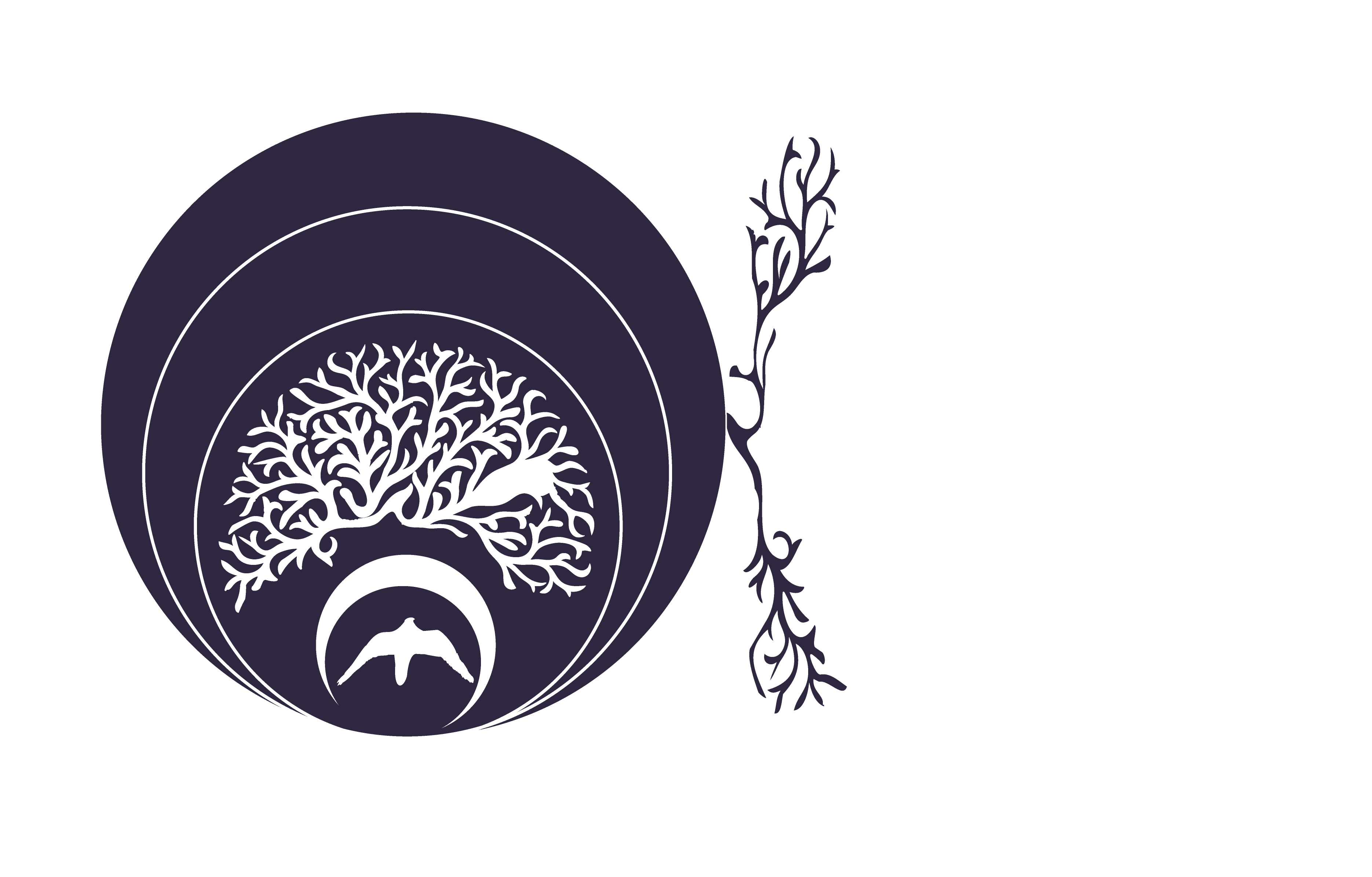 Raíz Circular Consultores