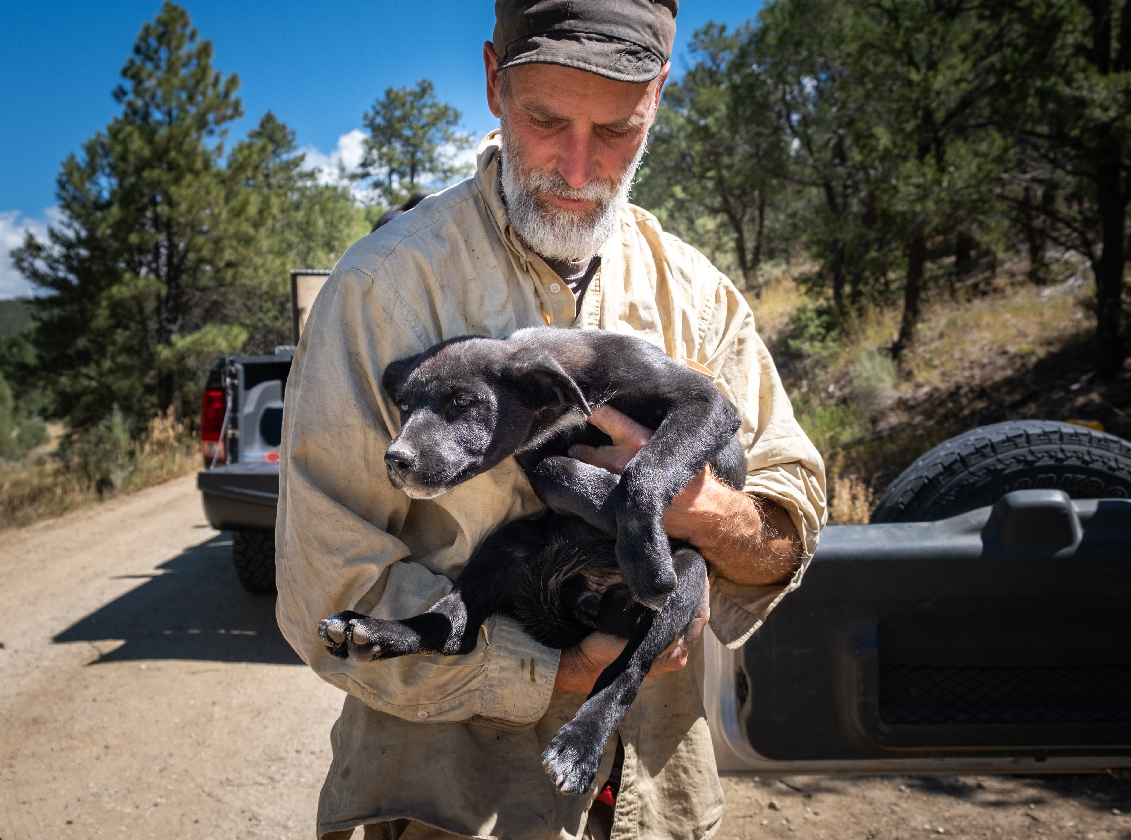 Liam DeBonis/Taos News
