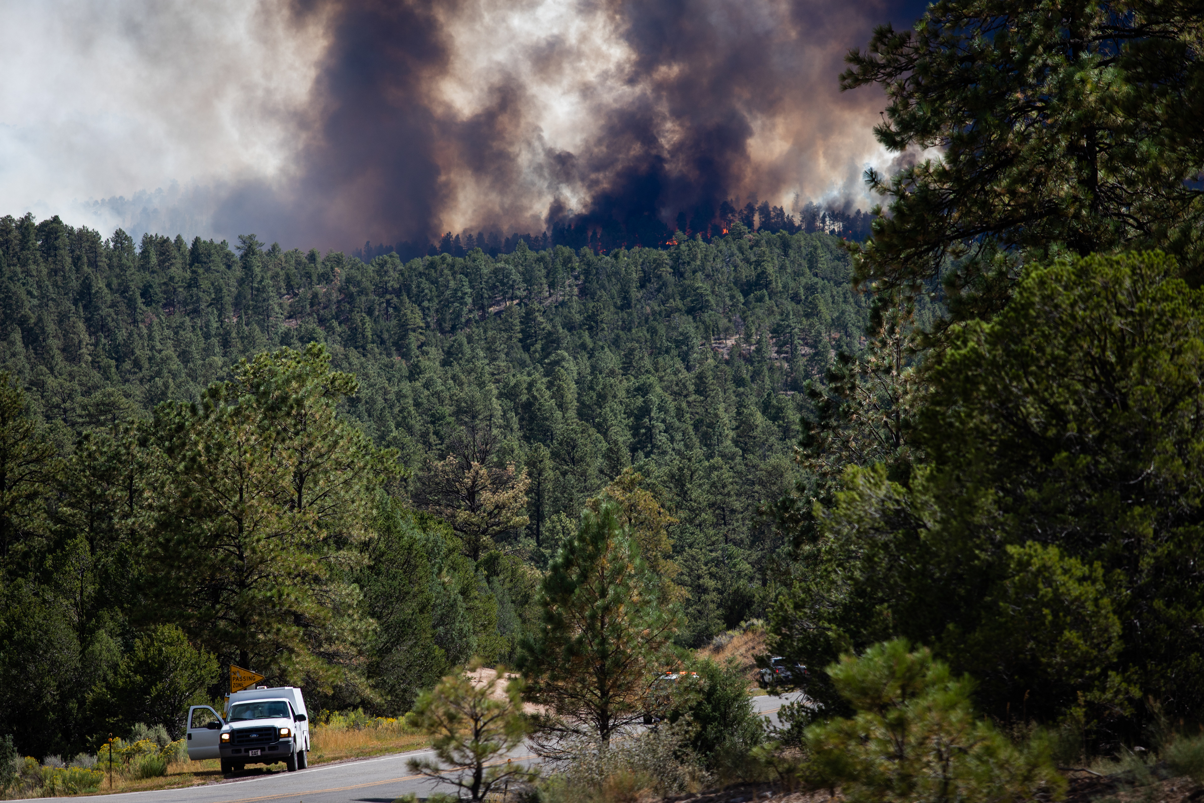 Liam DeBonis/Taos News