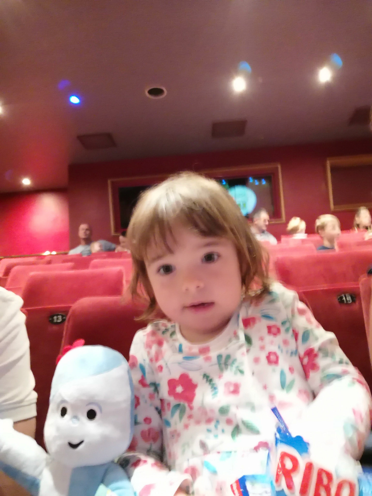 A great afternoon out at in the night garden live at the Cliffs Pavillion