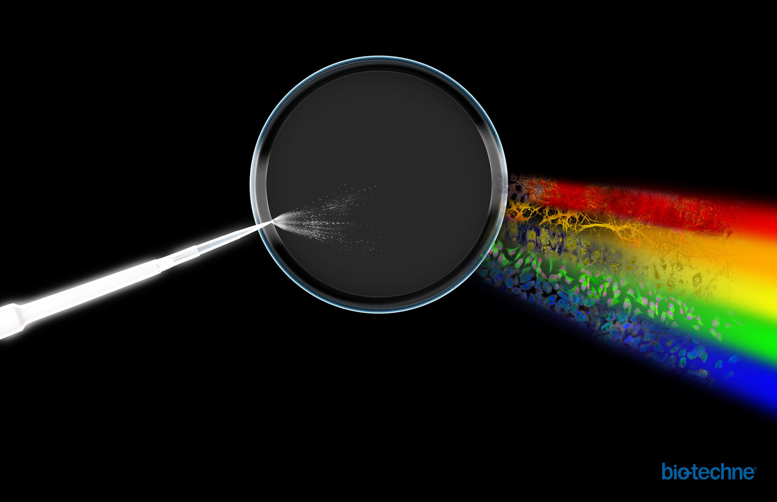 Inspirated by Dark Side of the Moon