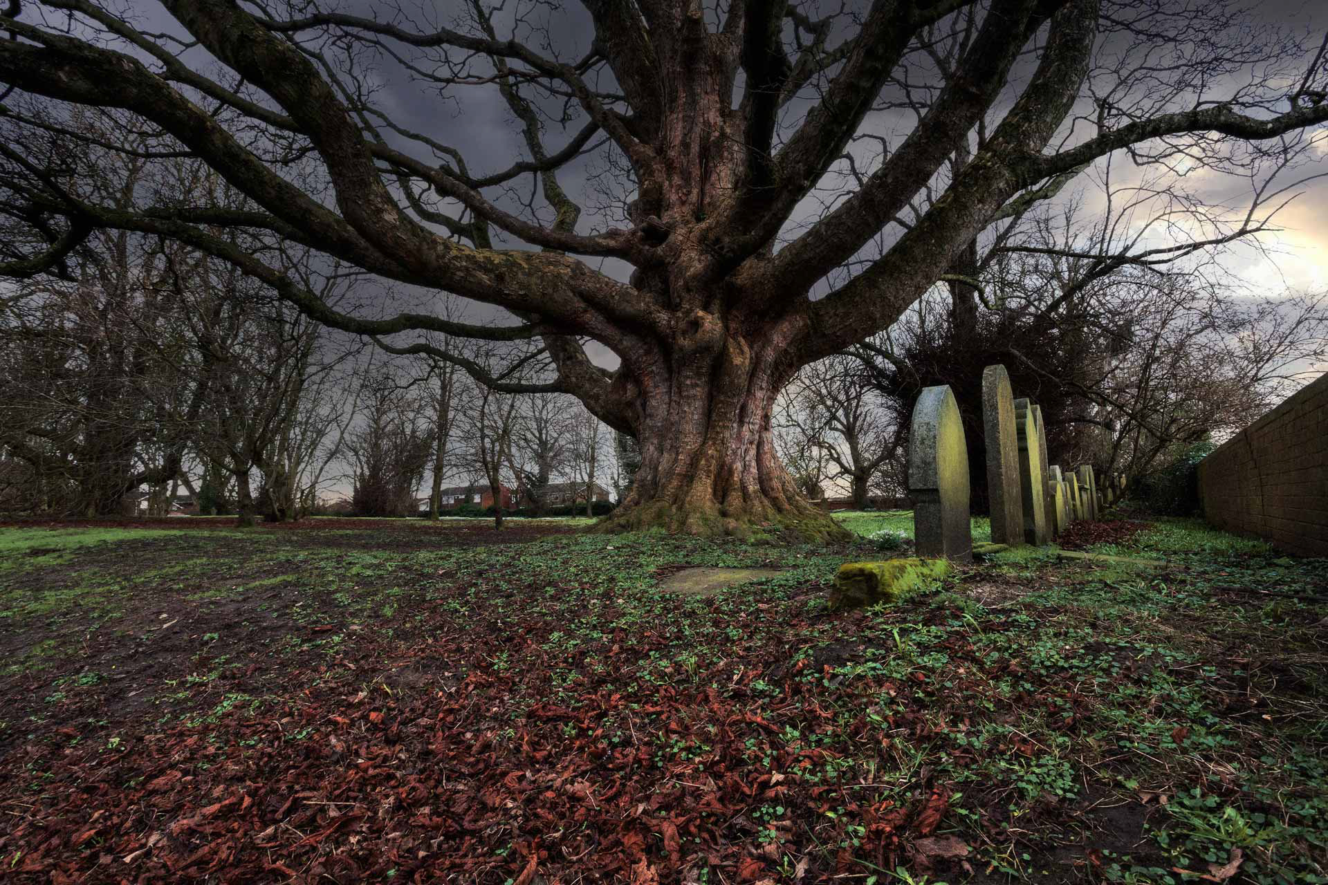 Sedgefield Old Cemetery