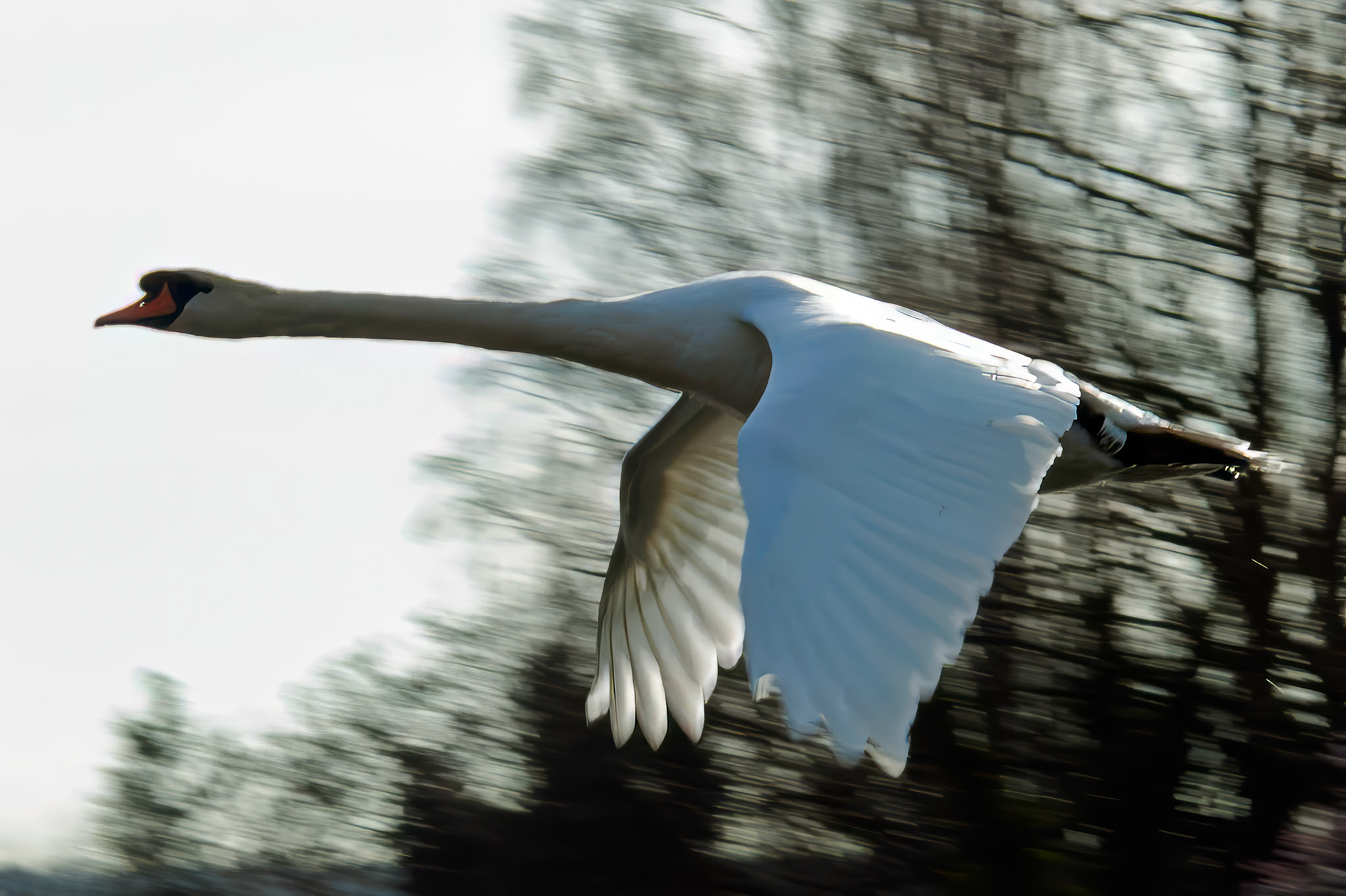 Marsh Lock, Henley (2011)