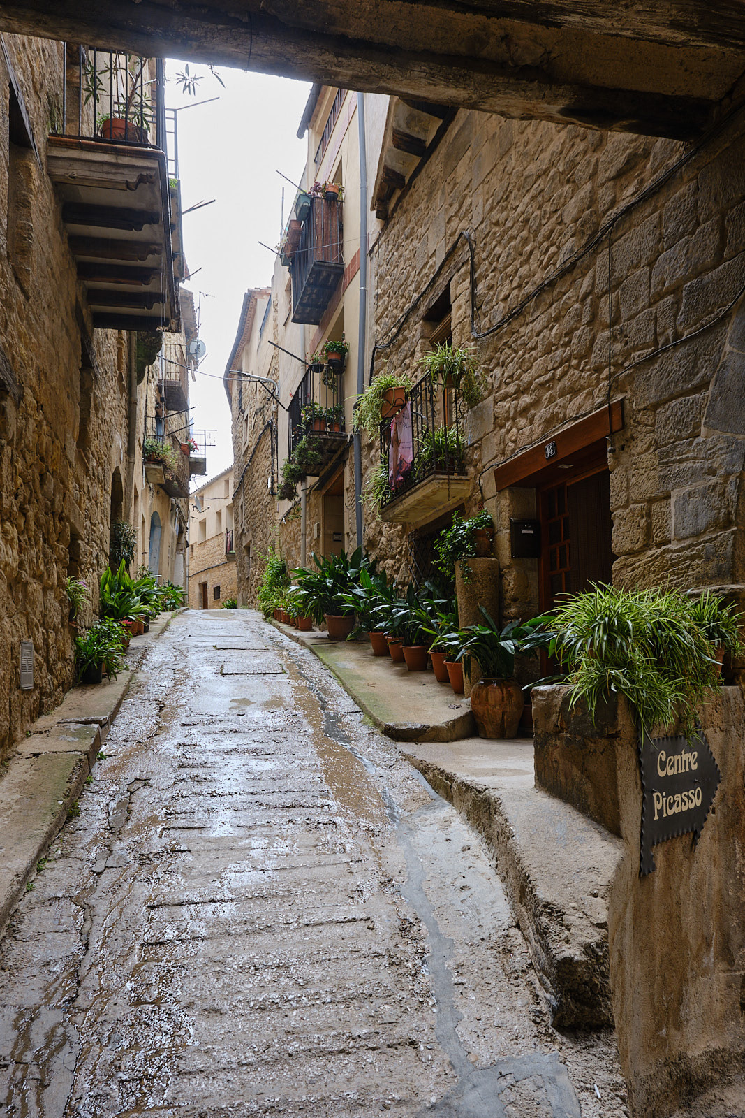 Horta de Sant Joan