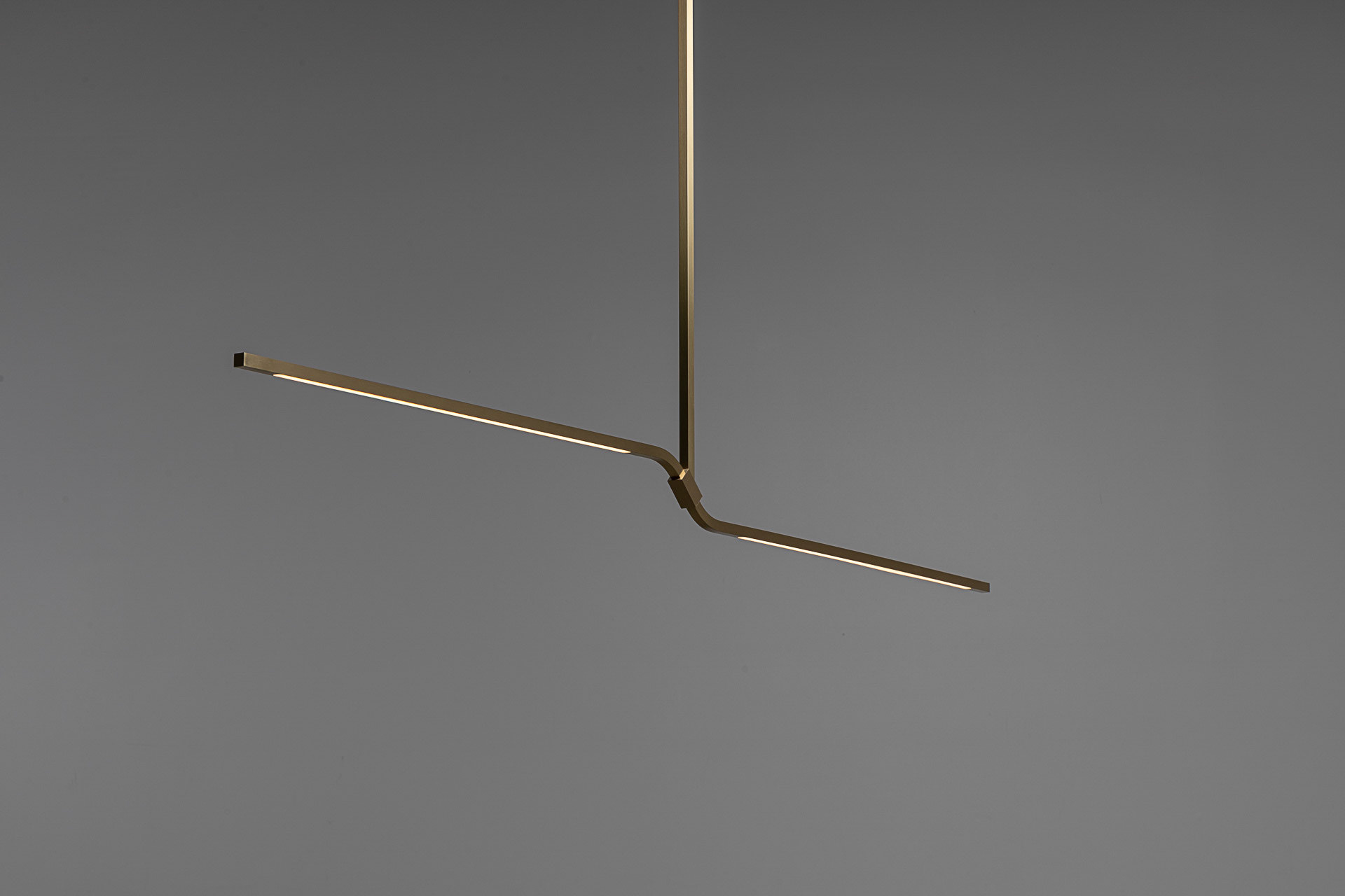 Branch Pendant