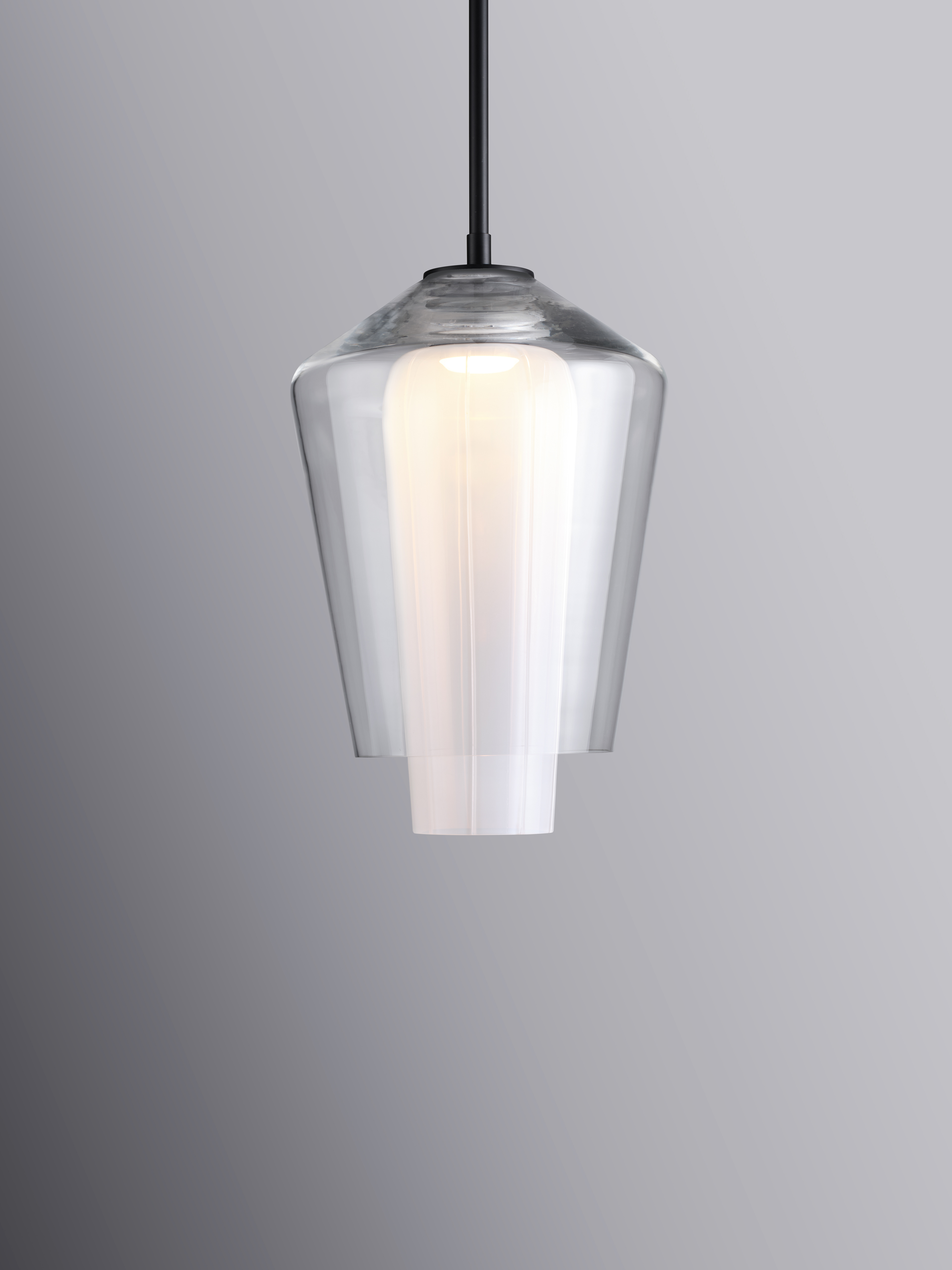 The Nest Pendant - Clear