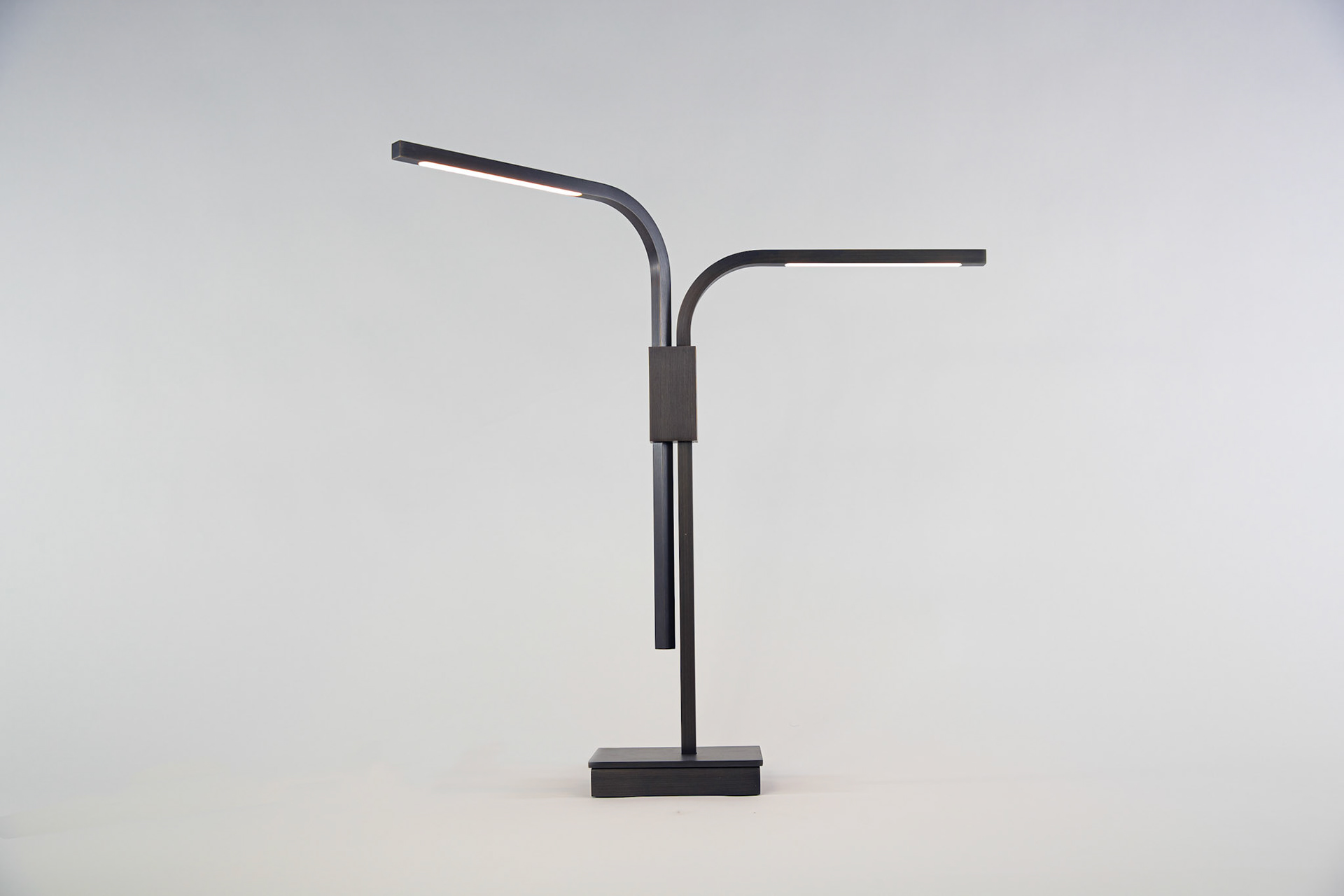 Branch Table Lamp