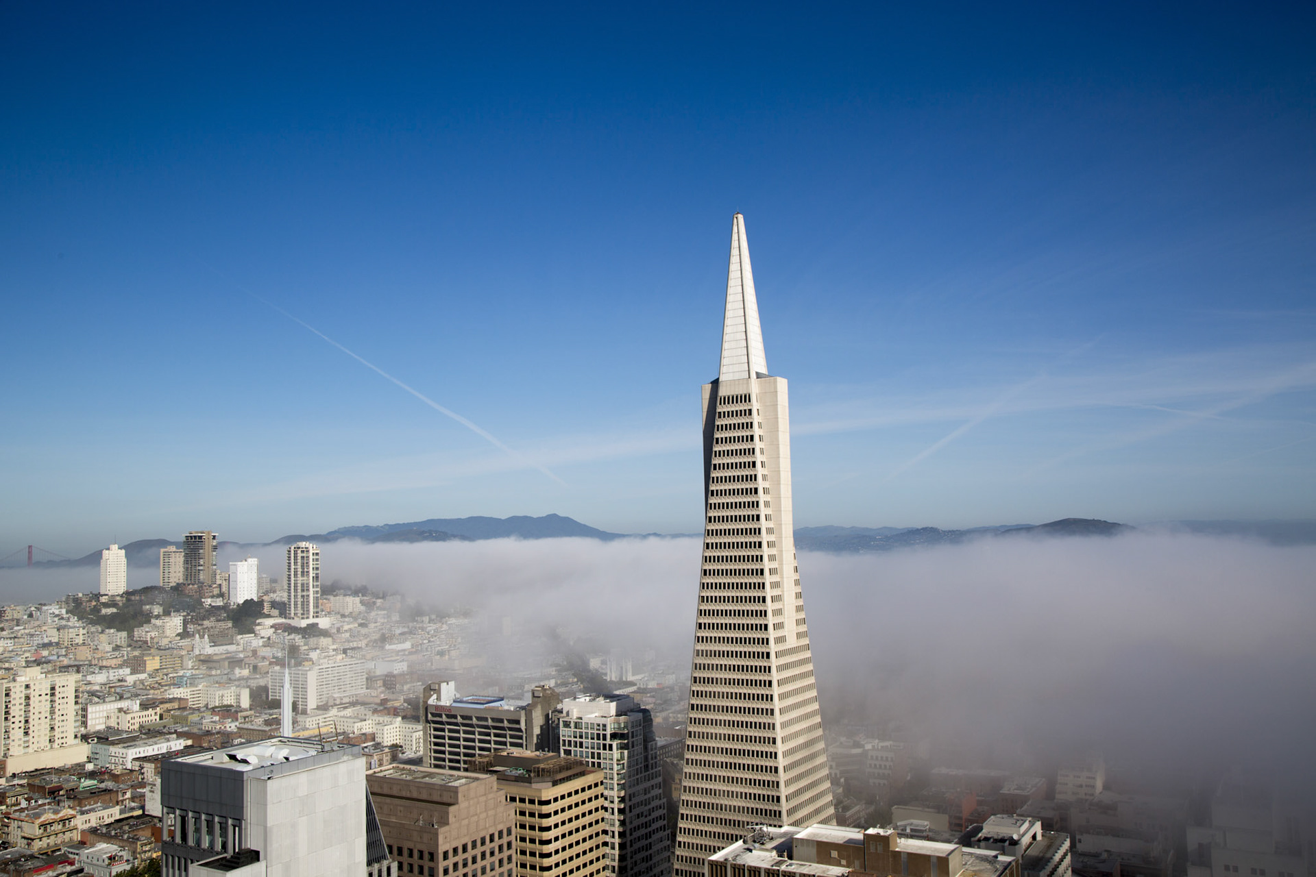 SAN FRANCISCO,CA - MARCH 29: Areal view on Transamerica pyramid and city of San Francisco covered by dense fog on March 29, 2013. The Transamerica Pyramid is the tallest skyscraper in San Francisco