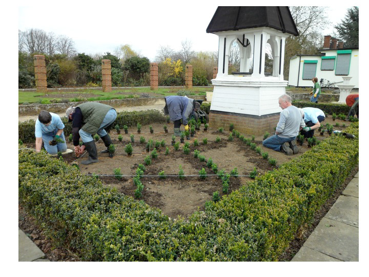 Starting the knot garden
