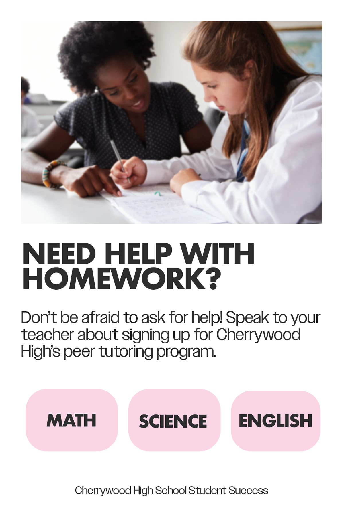 High School Posters - A Dance In The Snow, 2024