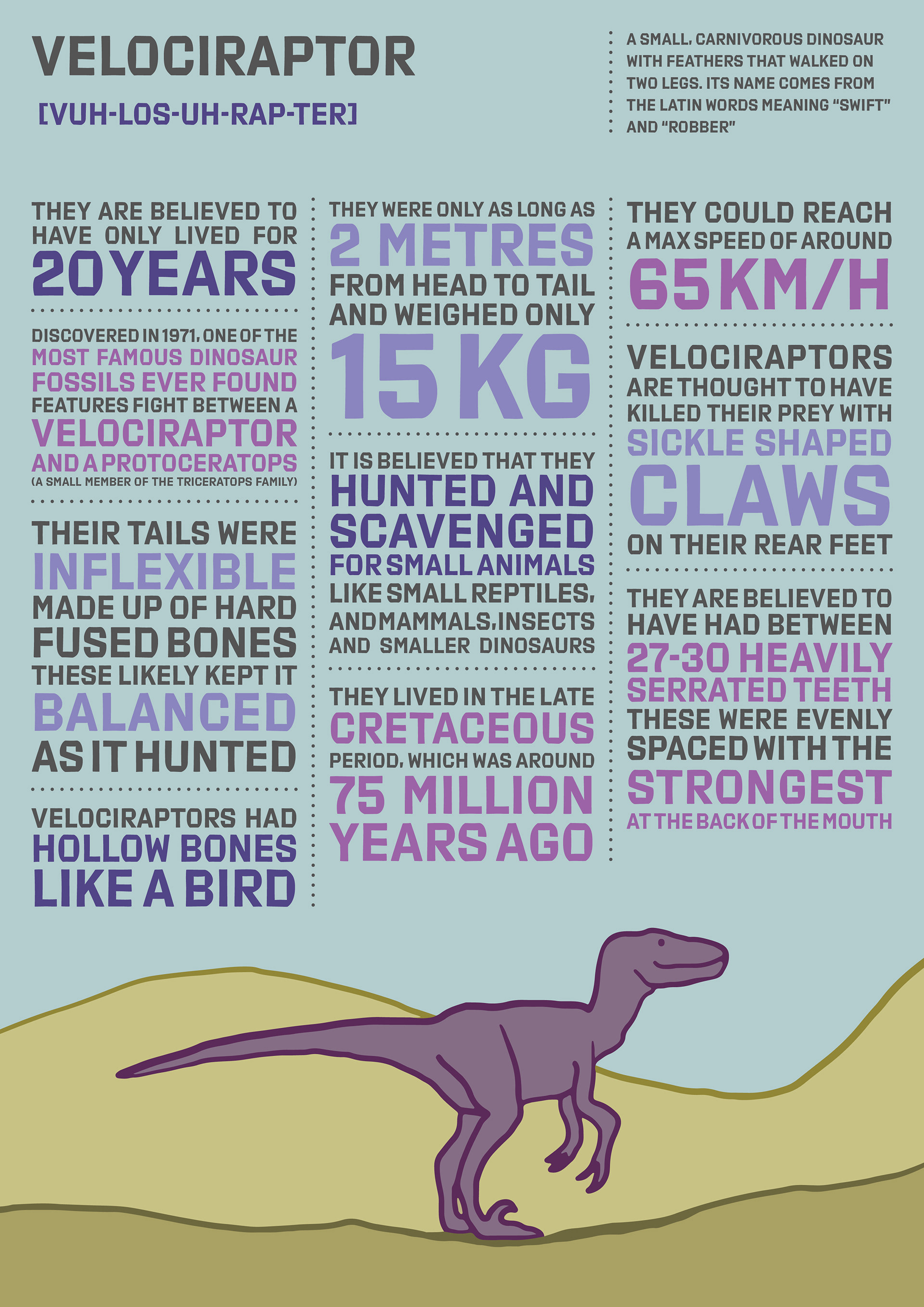 Dinosaur Infographic Poster – Carefully Researched – the