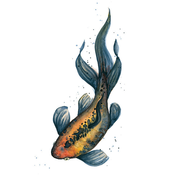 Fisch rechts