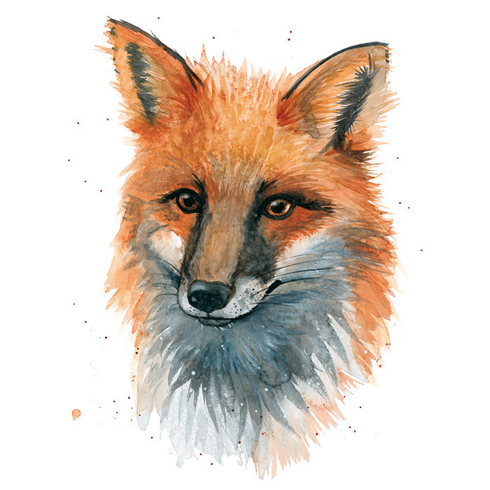 Fuchs