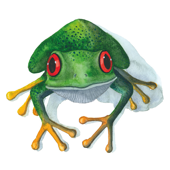 Frosch grün