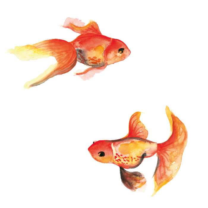 Goldfische