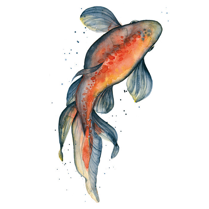 Fisch links