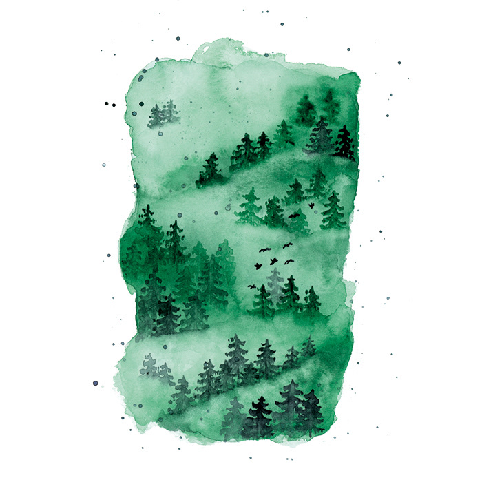 Wald hoch
