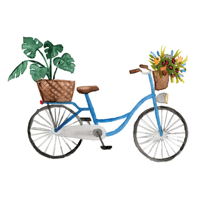 Fahrrad