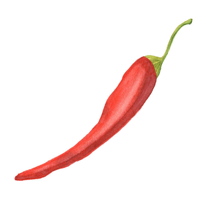 Chili