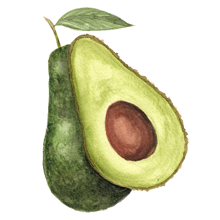 Avocado