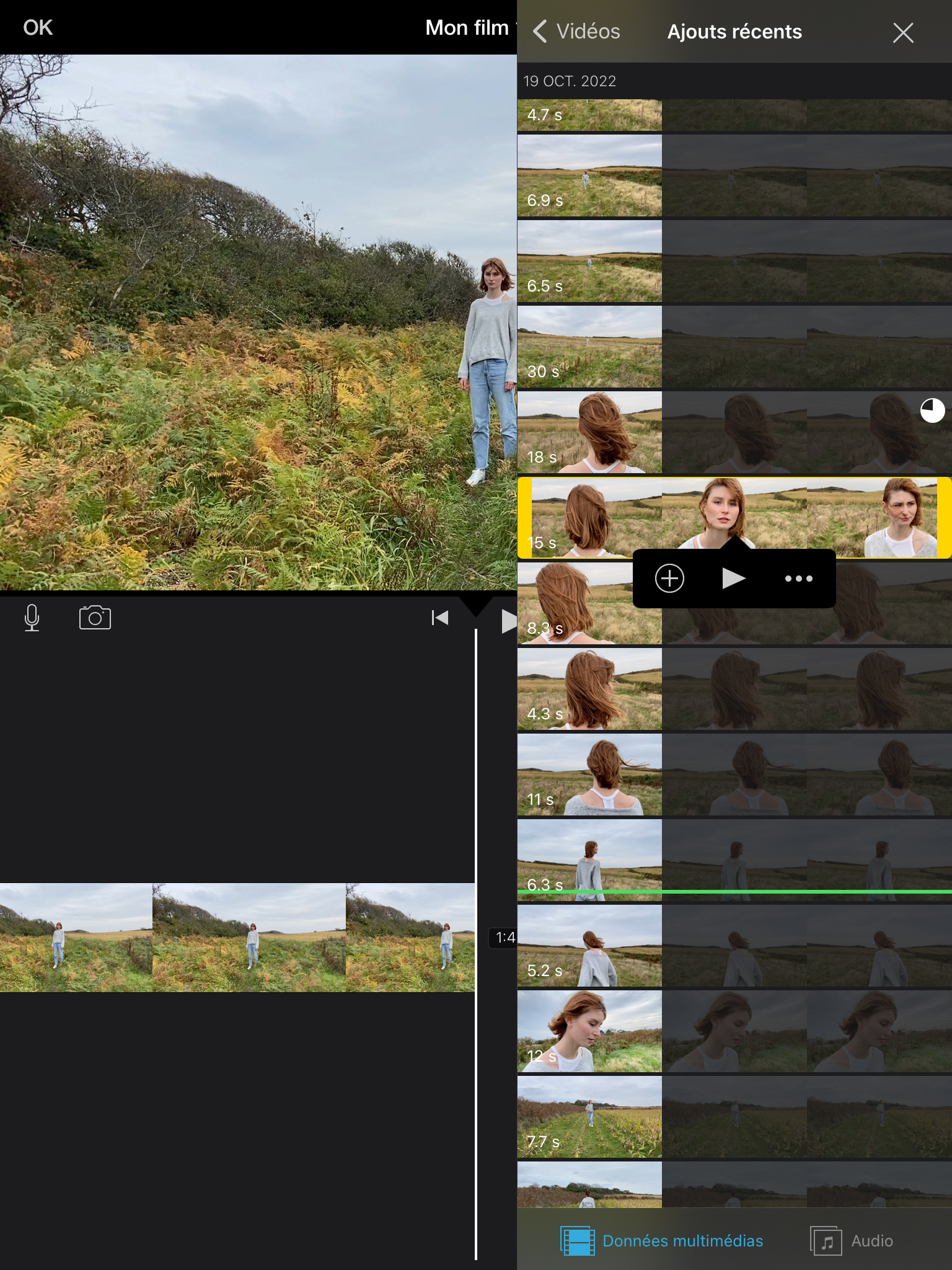 Adding the field scene: Press the + to add