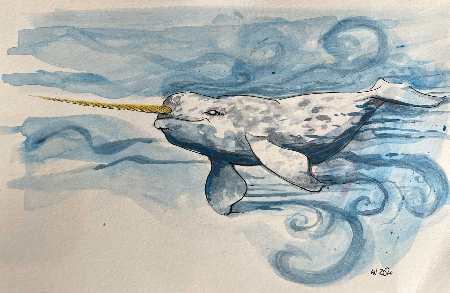 Watercolor 11" x 8.5"