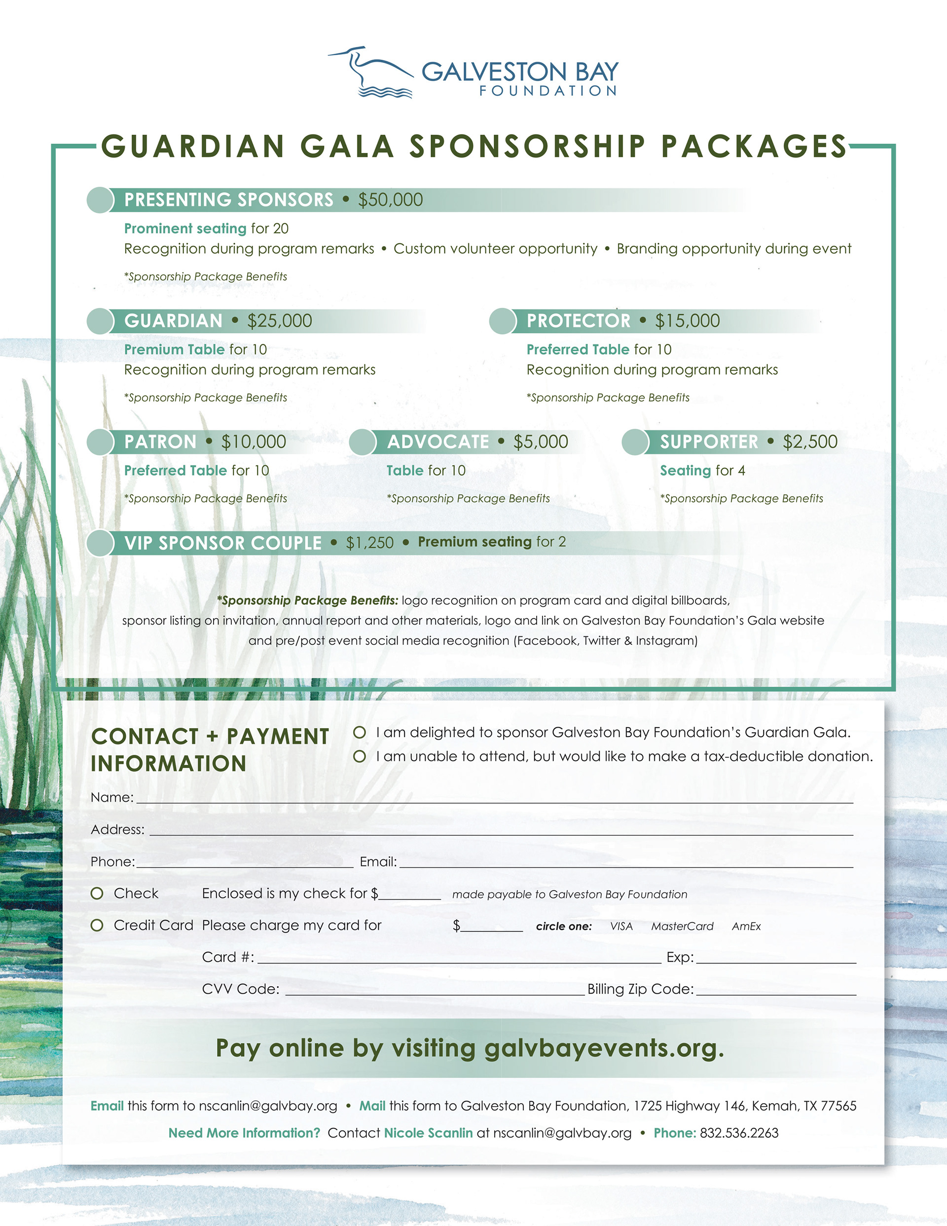 Sponsorship Form