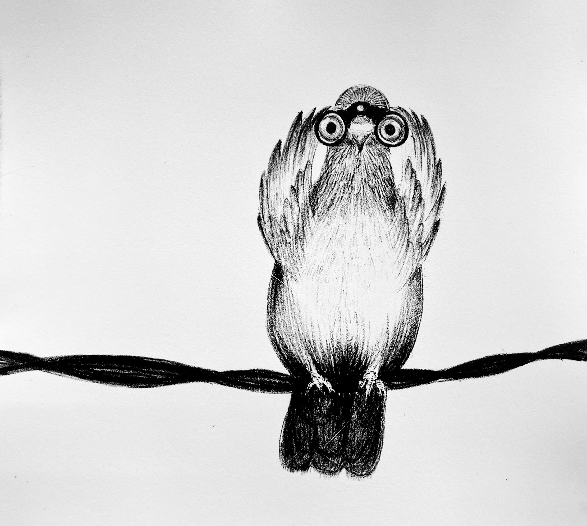 Bird Watching...You, 7x9 in., lithograph