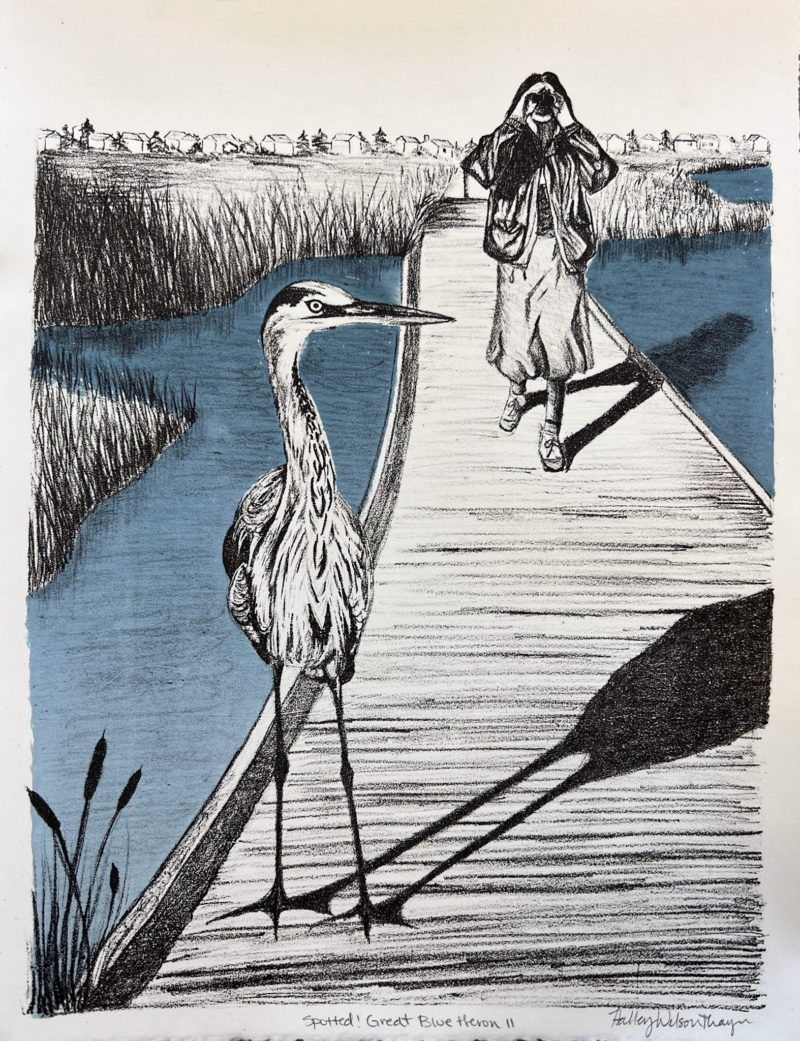 Spotted! Great Blue Heron II, 10x13 in., 2023, lithography