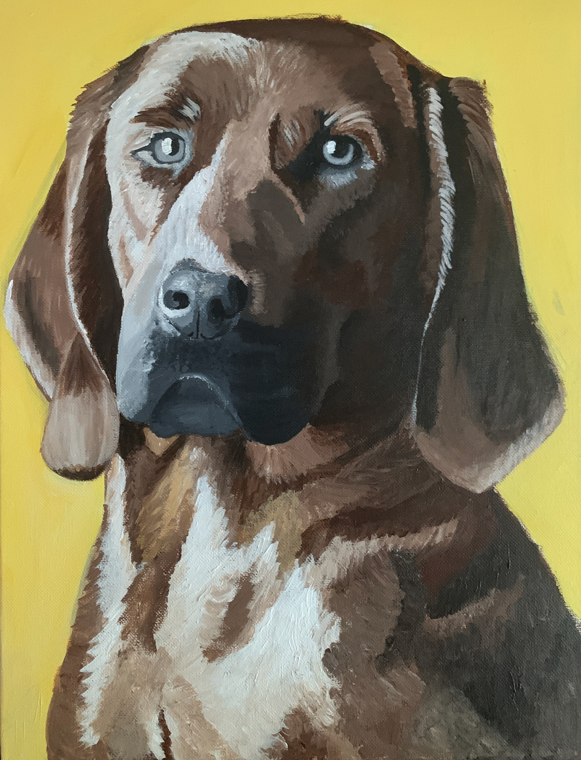16"x20", acrylic on canvas