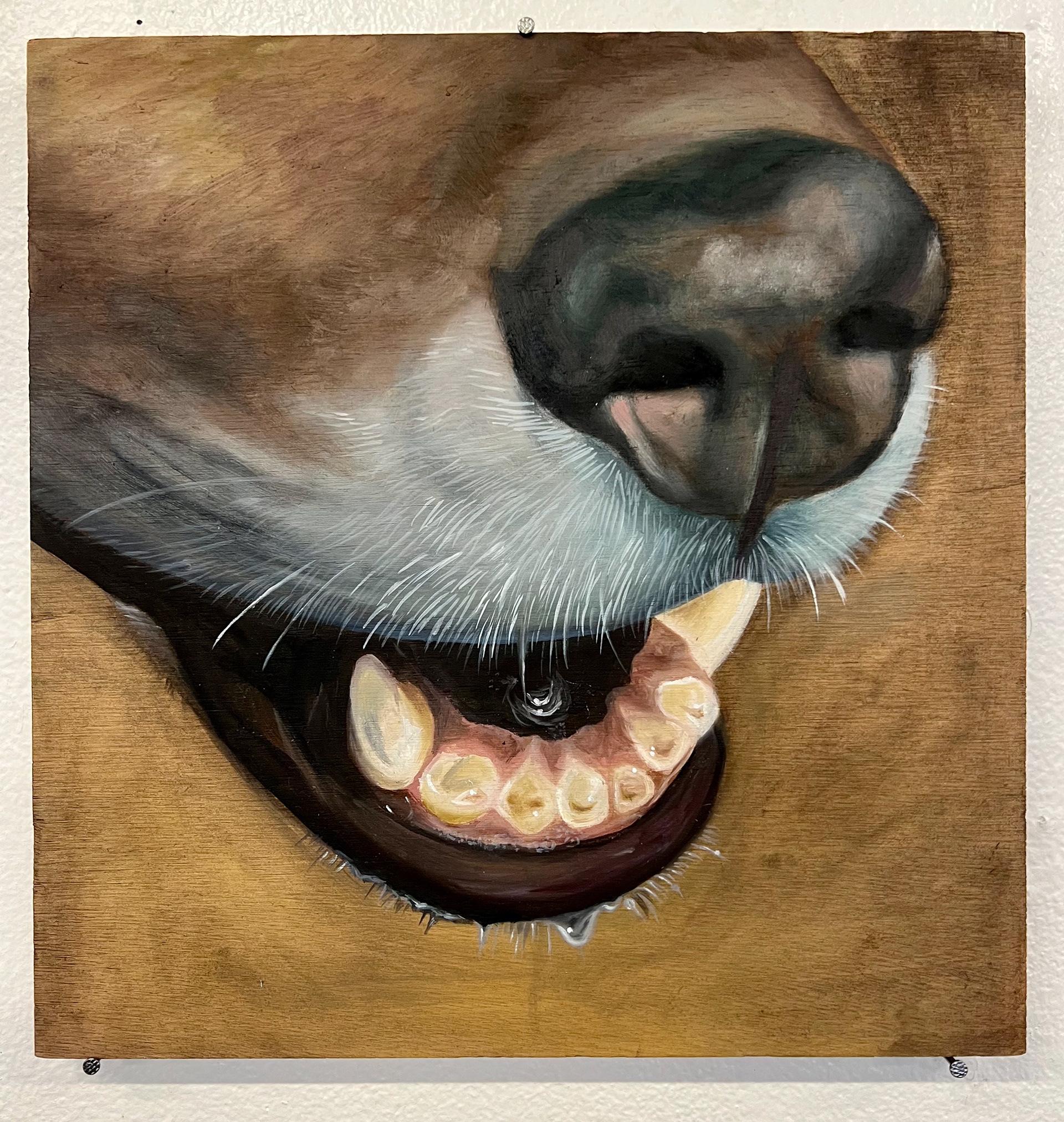 "Salivation", 11"x11", oil on wood