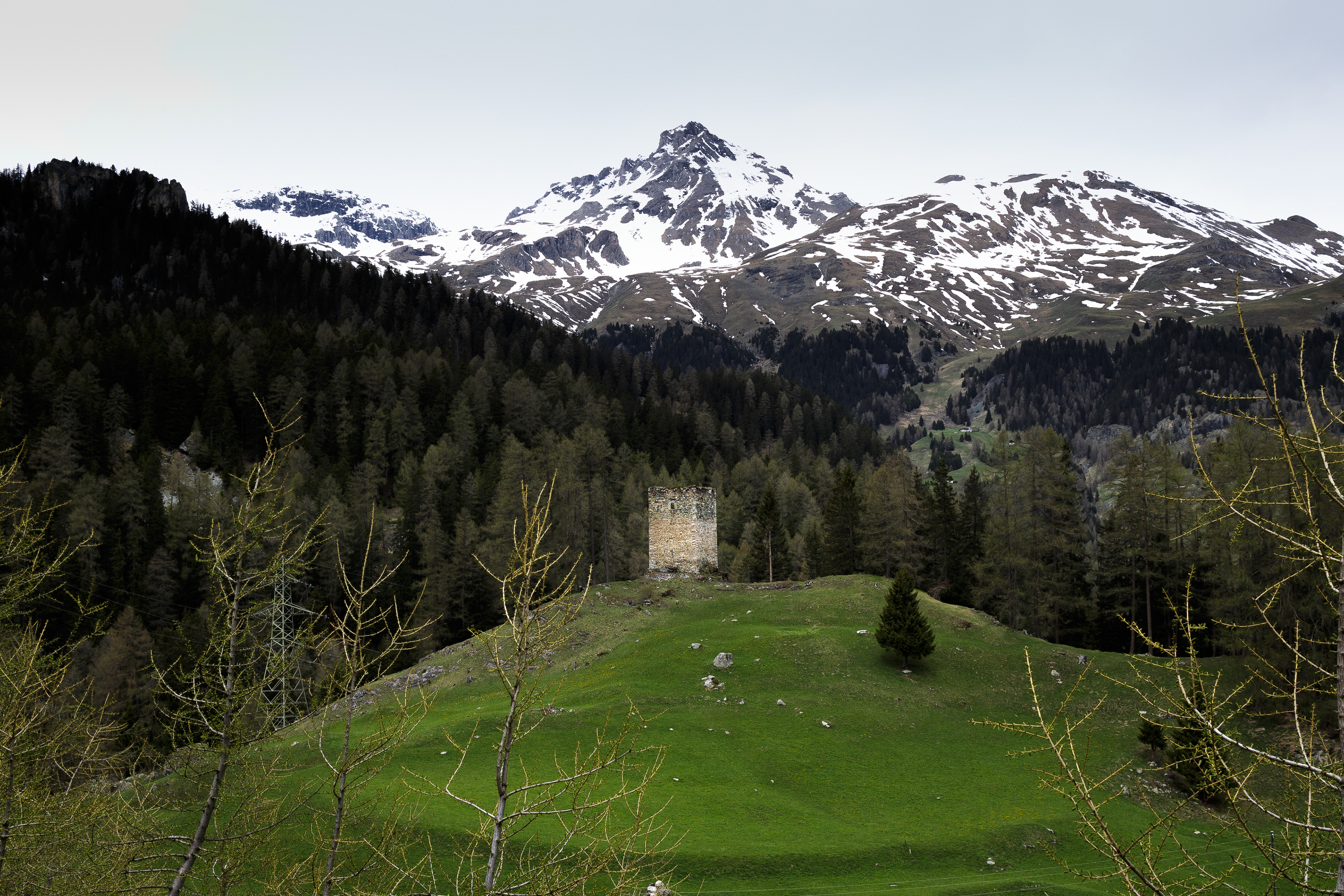 Spliatsch