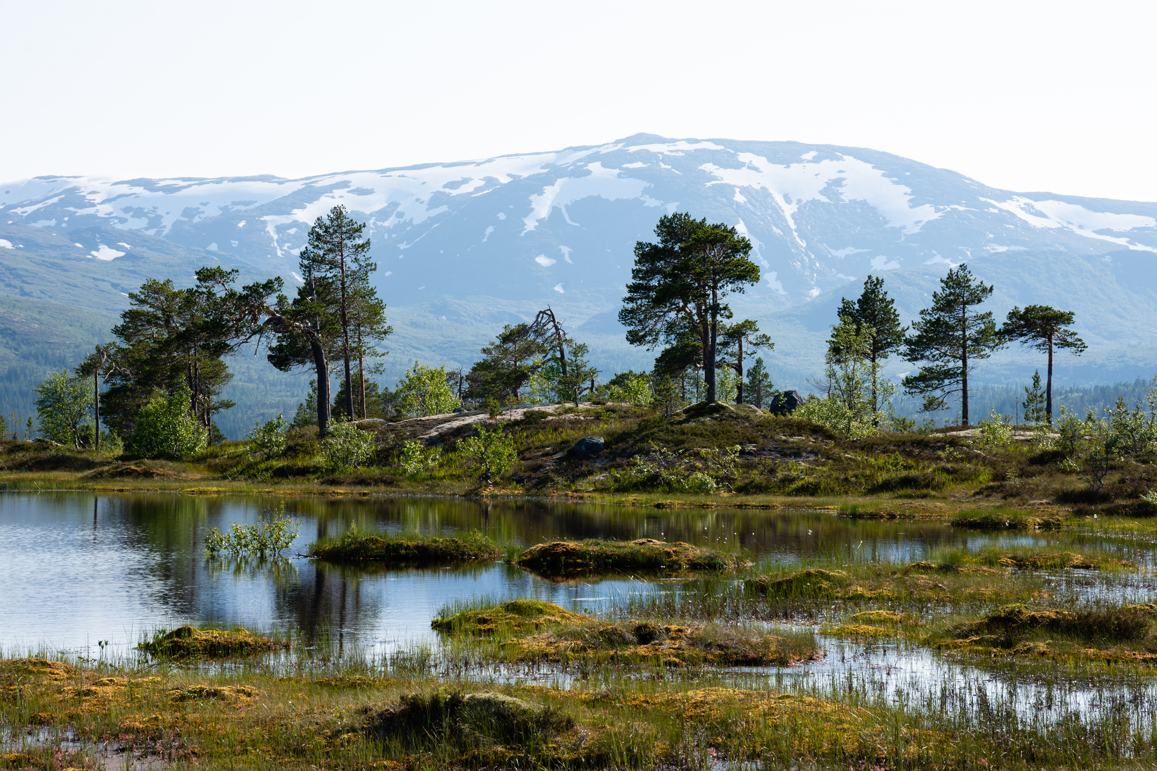 Norwegen, Lofoten 2019