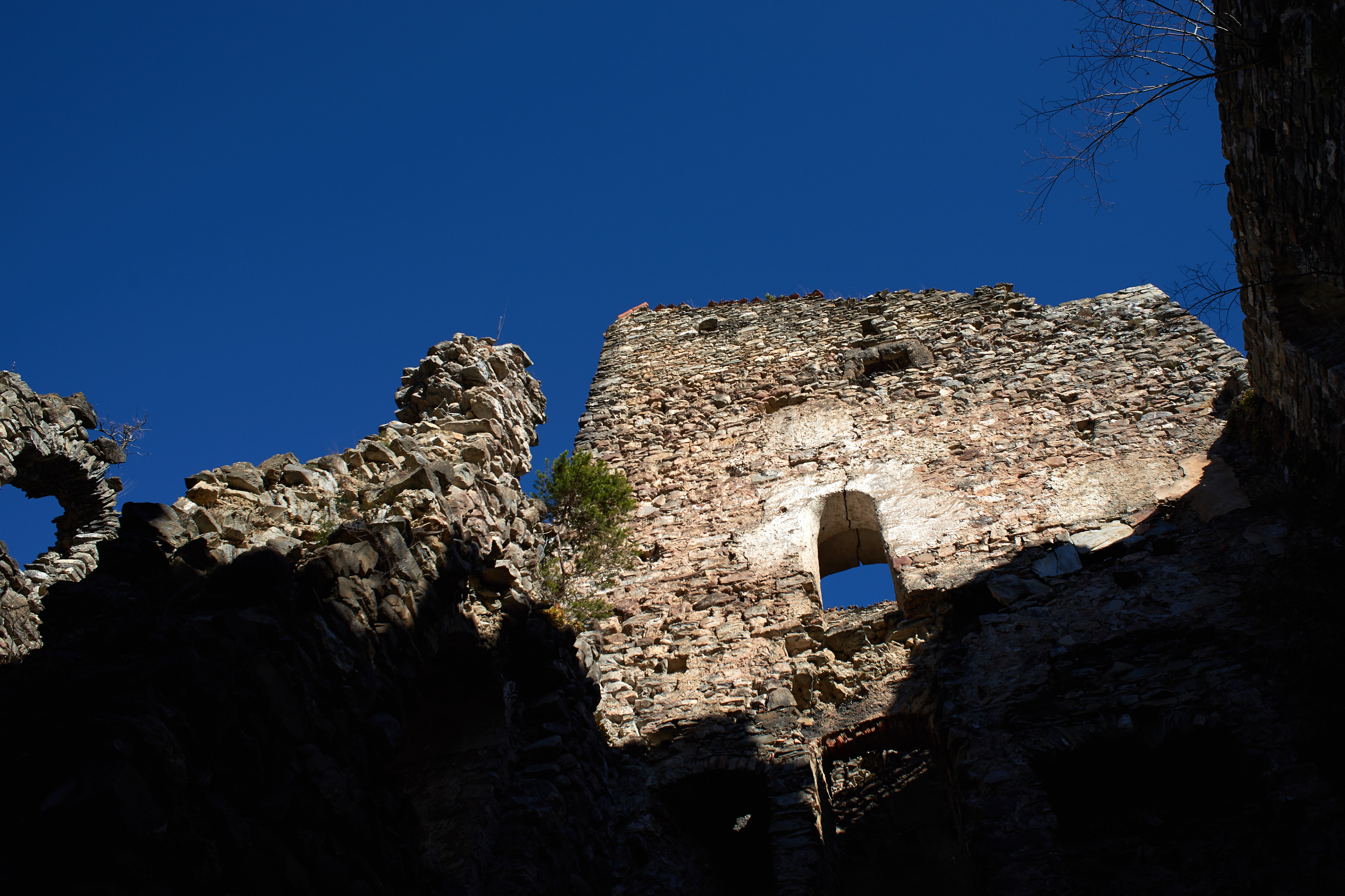 Neu Aspremont