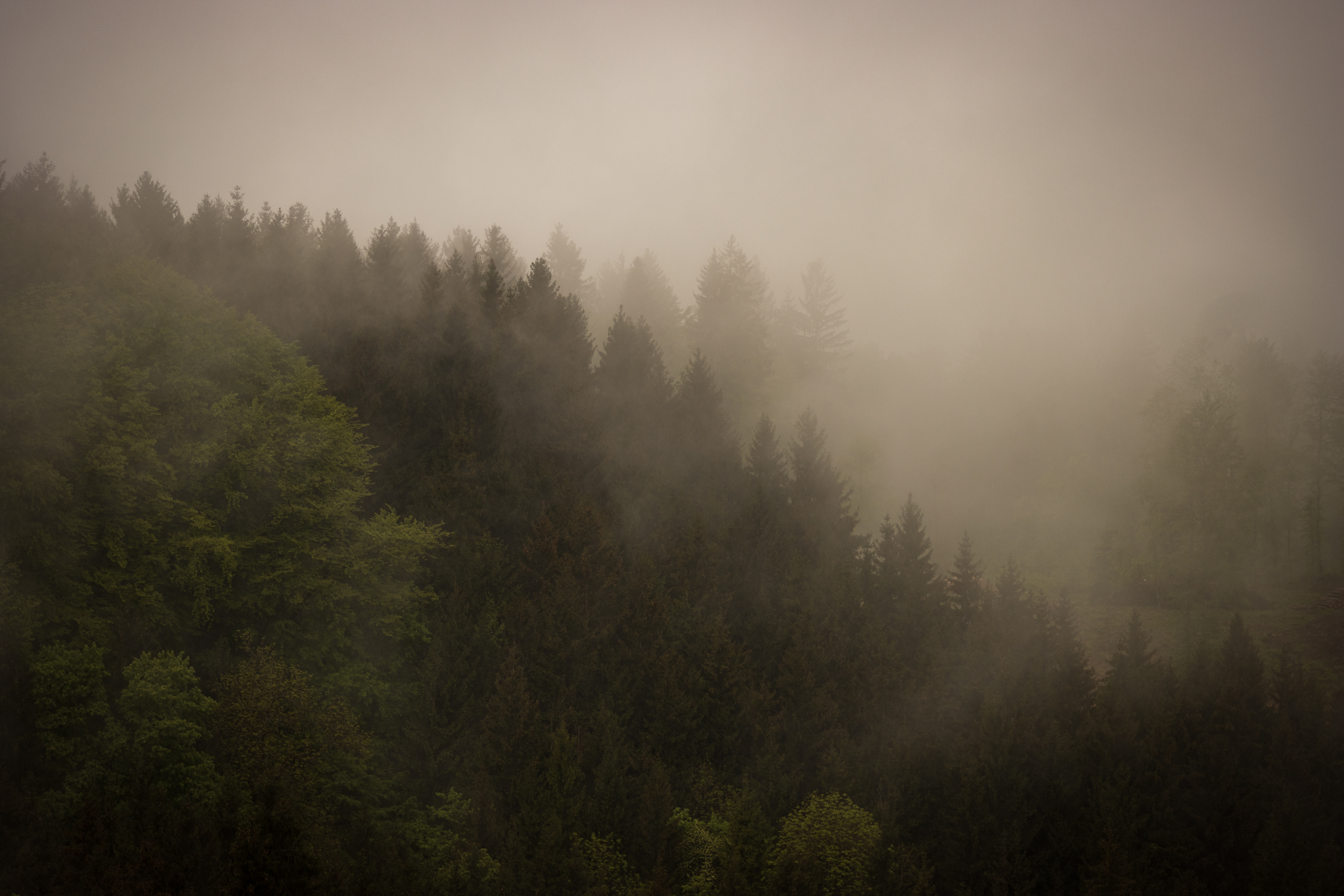 Schweiz, Weinland 2018 (Irchel)