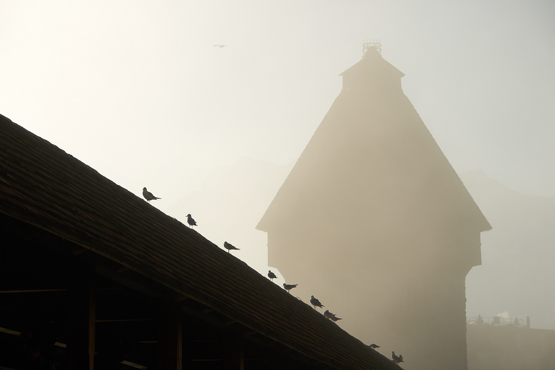 SWITZERLAND - LUCERN, 2016