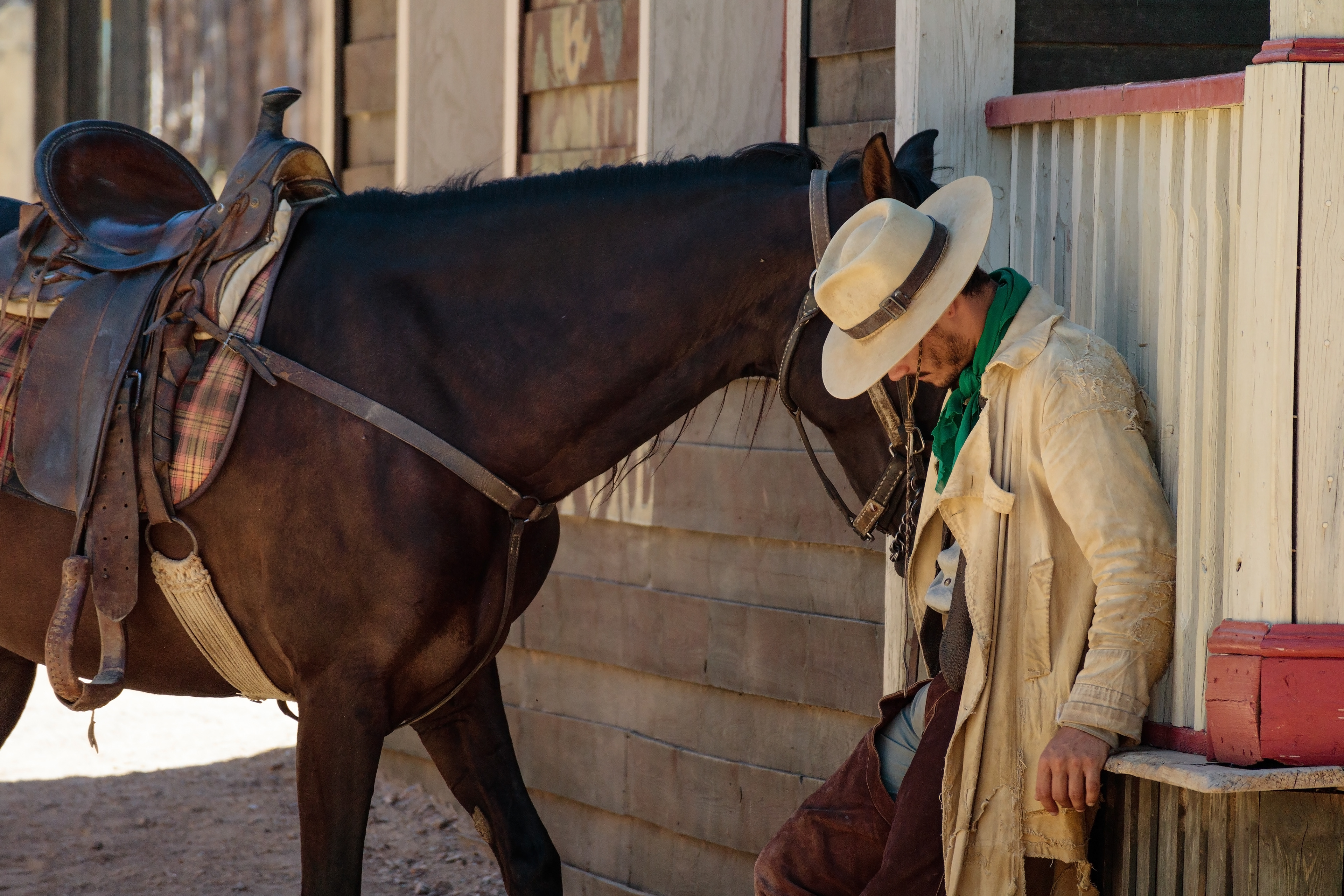 SPAIN, SIERRA NEVADA, 2017