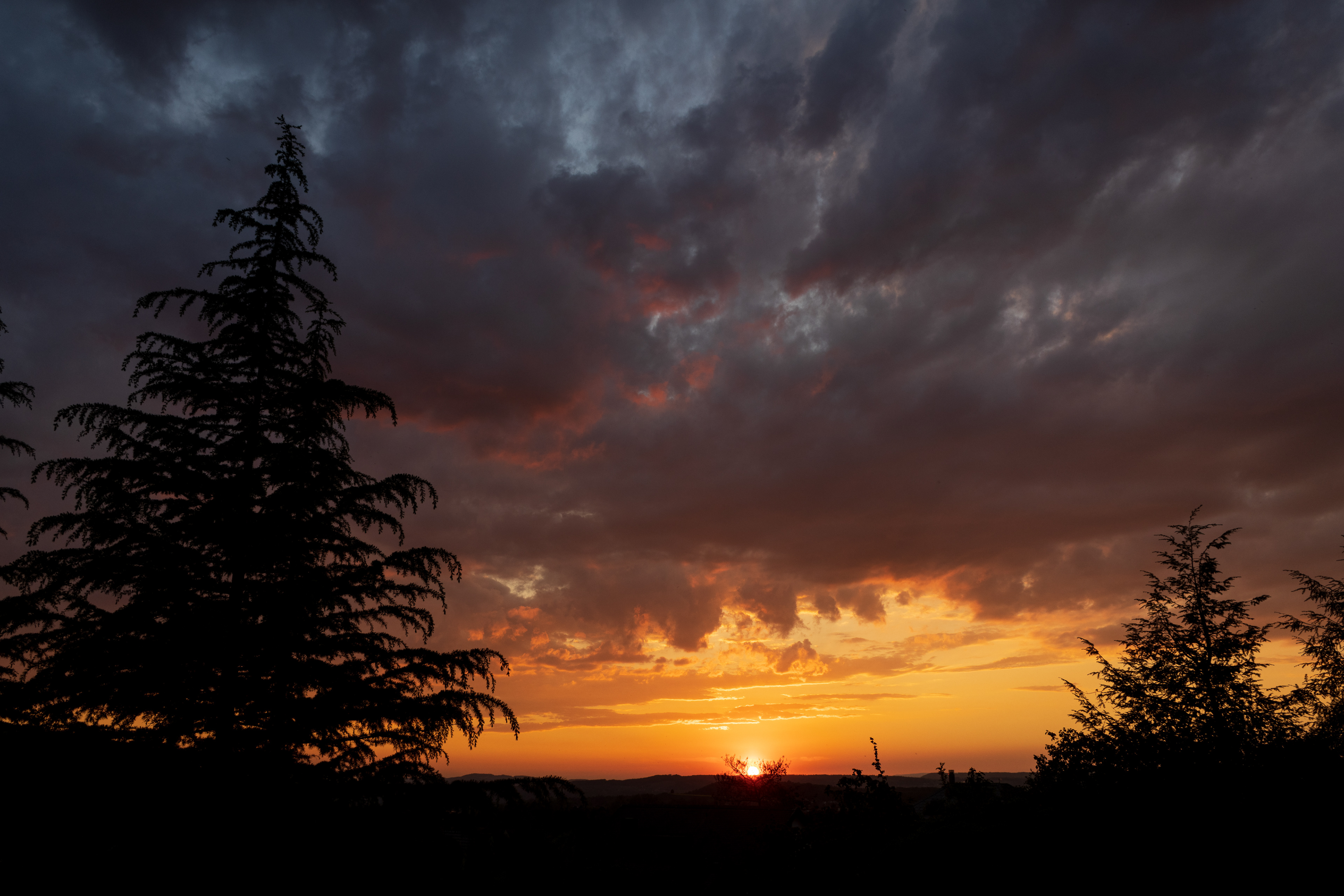 Schweiz, Weinland 2018 (Andelfingen)