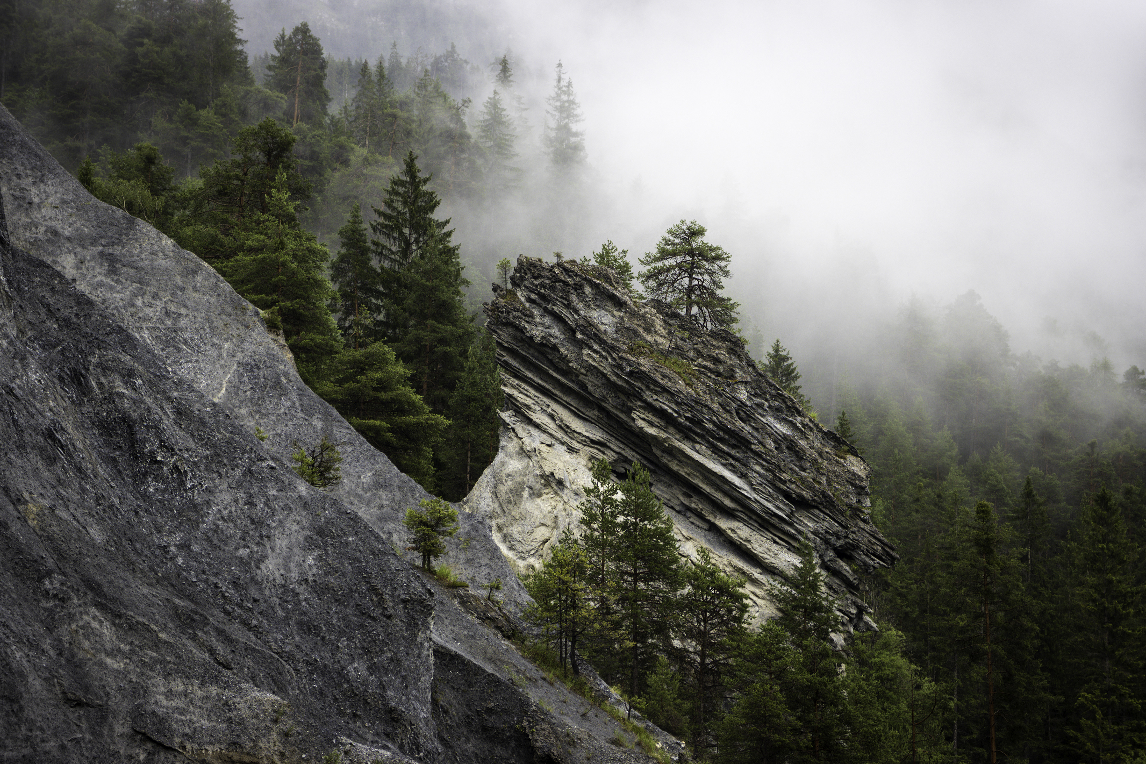 Schweiz, Graubünden 2020 (Ruinaulta)